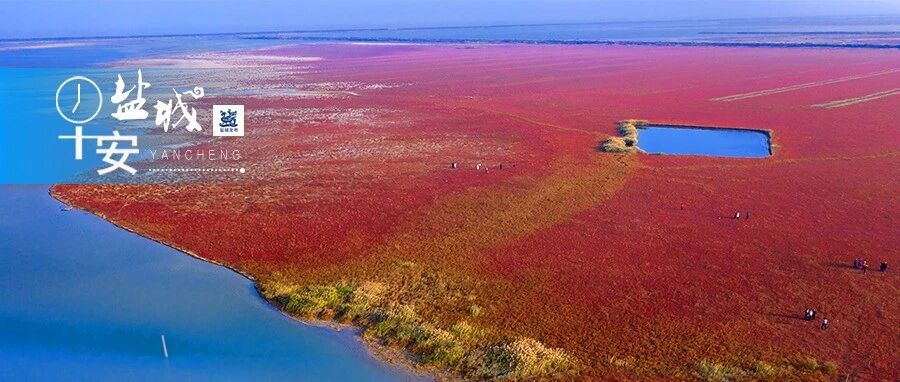 我国首台！在盐城投运！