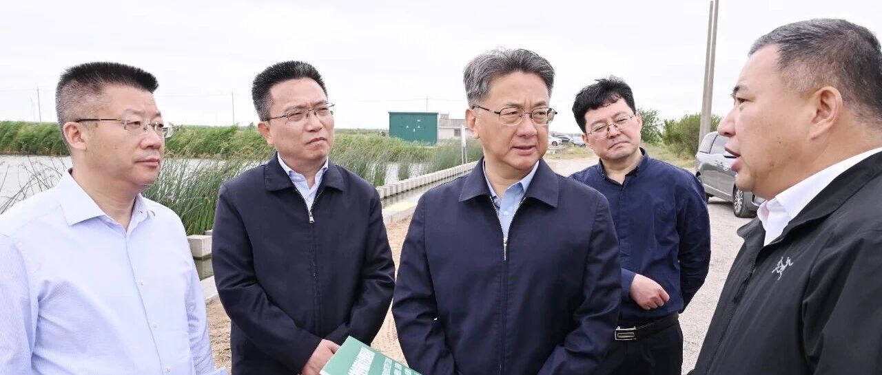 周斌检查生态环境问题整改工作