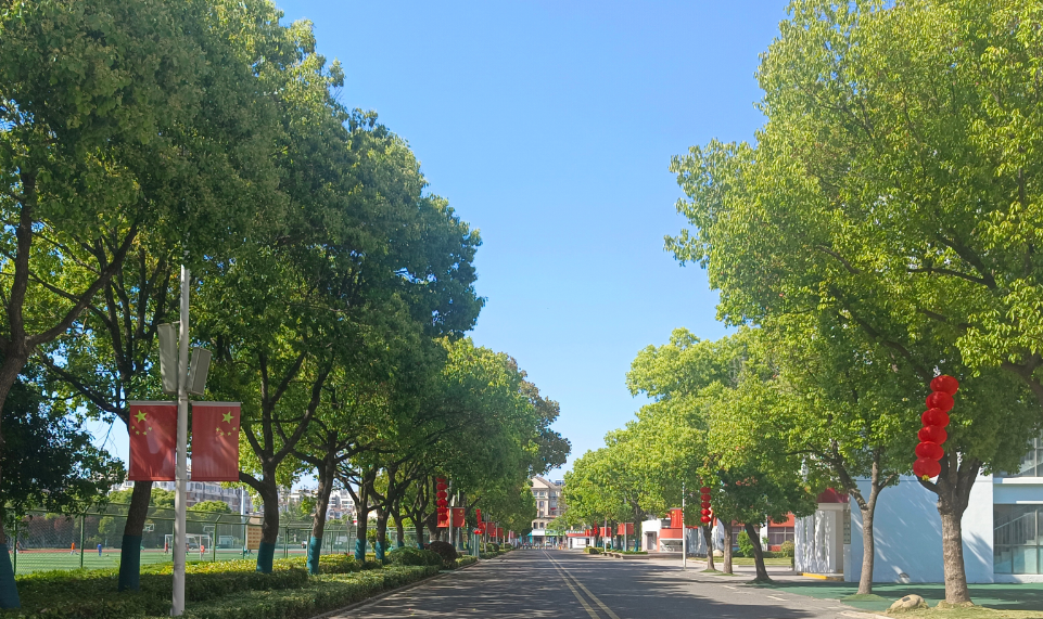 我的“山海寻梦”故事丨香樟树荫下的山海(唐艳平)
