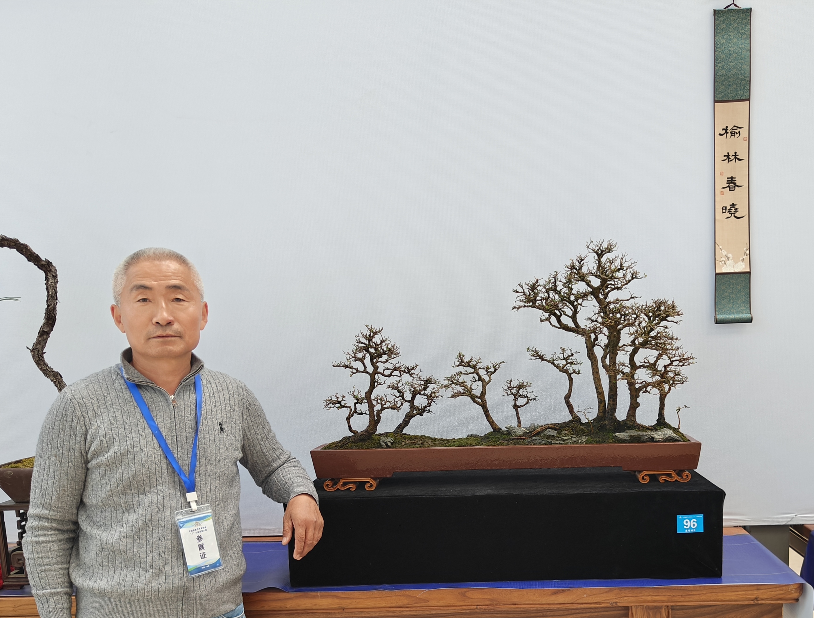 姜文华制作的盆景《榆林春晓》获最佳创意奖