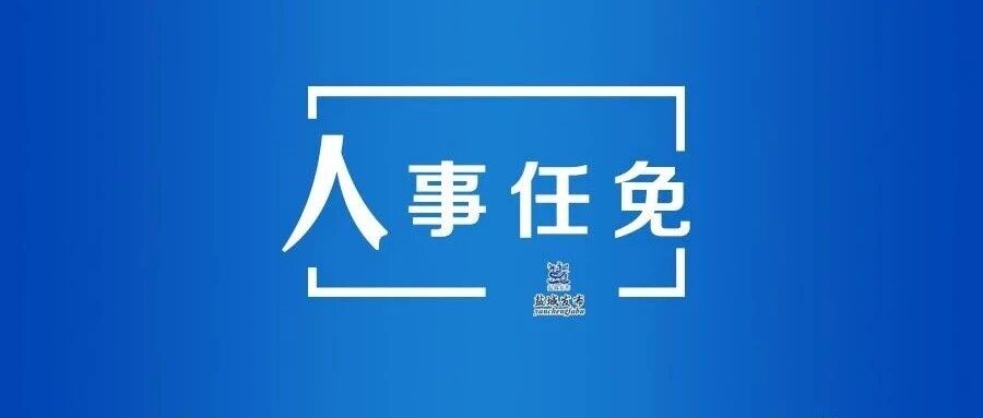 江苏省政府最新人事任免
