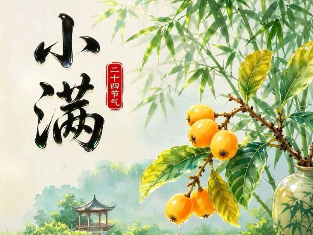 小满胜万全