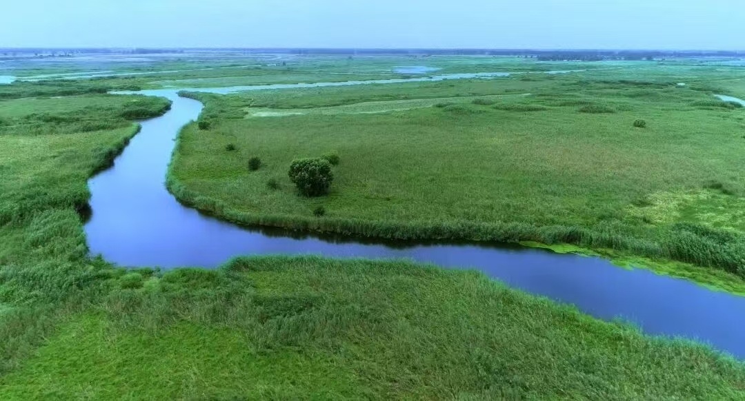我家住在江河畔丨戏在水边唱 水在戏中流(丁慧)