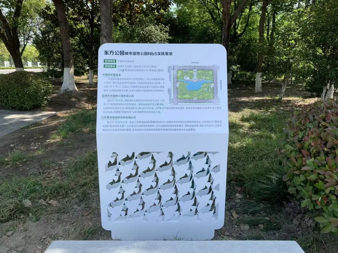 盐城东方园林公司：“一隅青绿”涵养城市湿地生态“能量场”