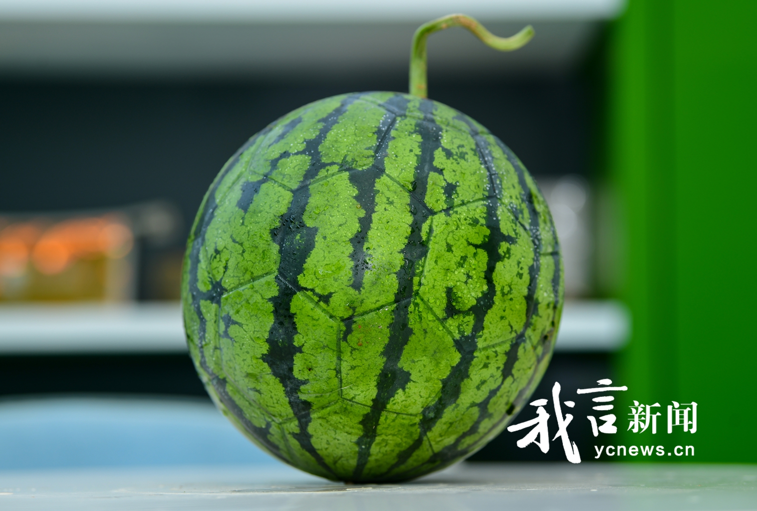 东台国家现代农业产业园西瓜课堂
