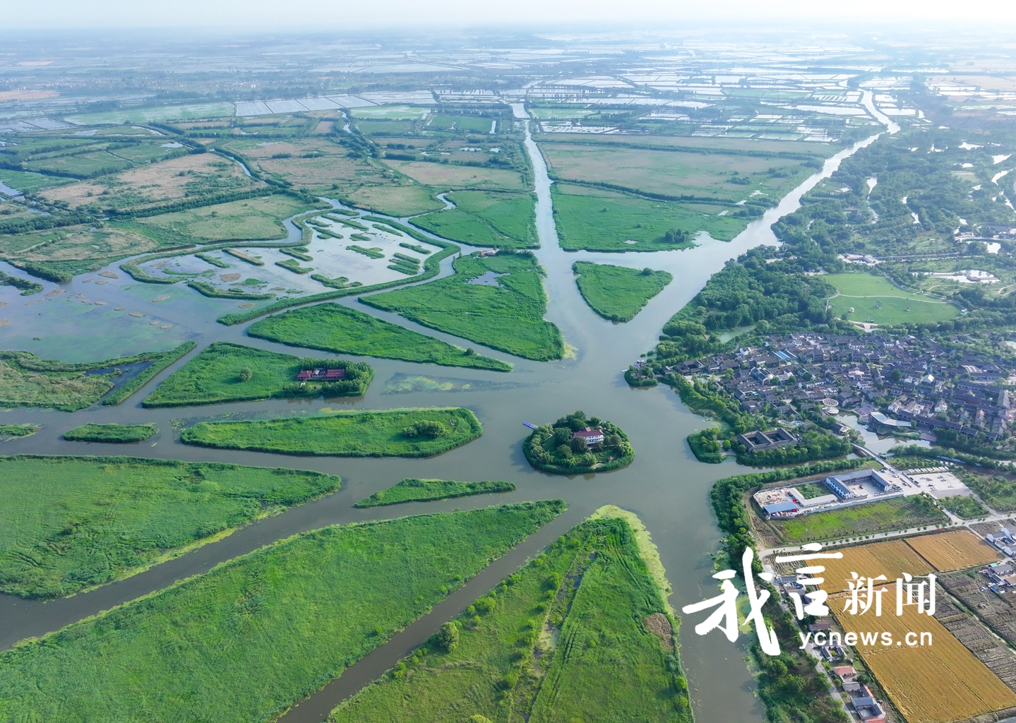 九龙口湿地尽显万物共生的灵动生机