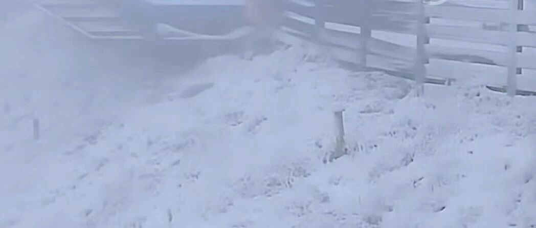 就在今天，北京下雪了！