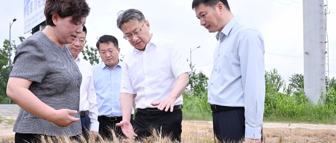 周斌到射阳县调研