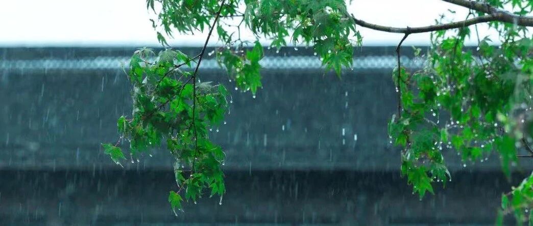 雨雨雨！盐城入梅最新消息