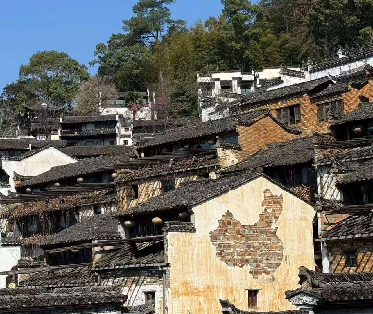 我的“山海寻梦”故事丨黛瓦衔山梦,渔火照征途(高伟)