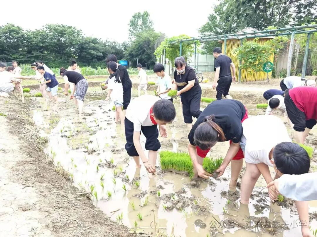 城乡教育丨盐城建湖:躬耕田野悟劳作 五育融合润童心