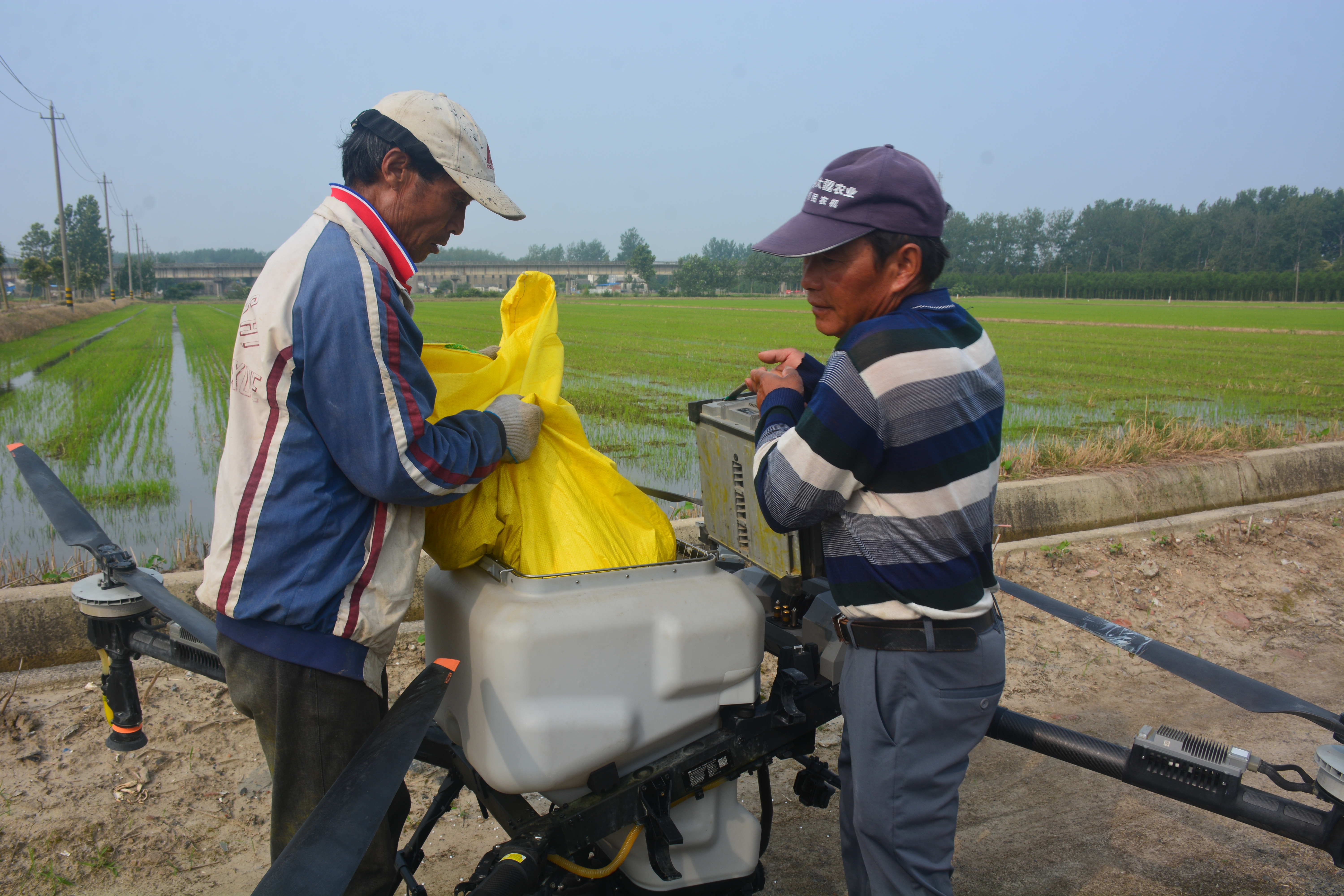 草堰镇抢农时追施水稻分蘖肥