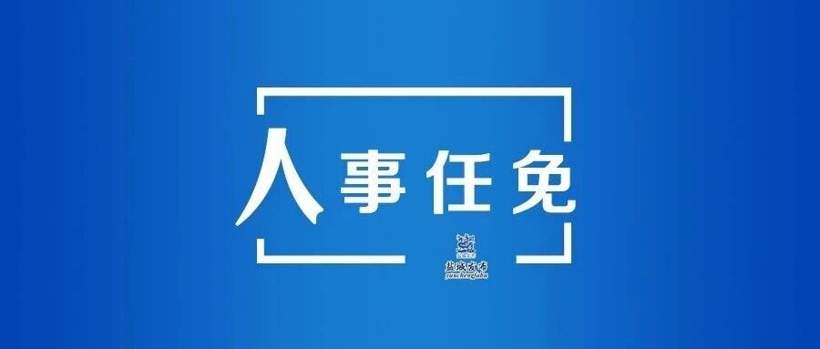 职务任免通知