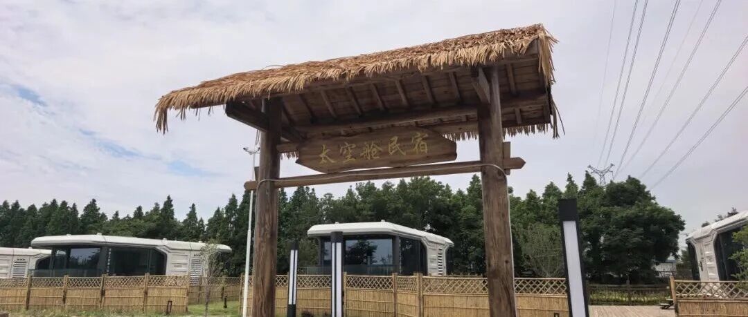 靠一片叶子，盐城这个村做到了750万元！