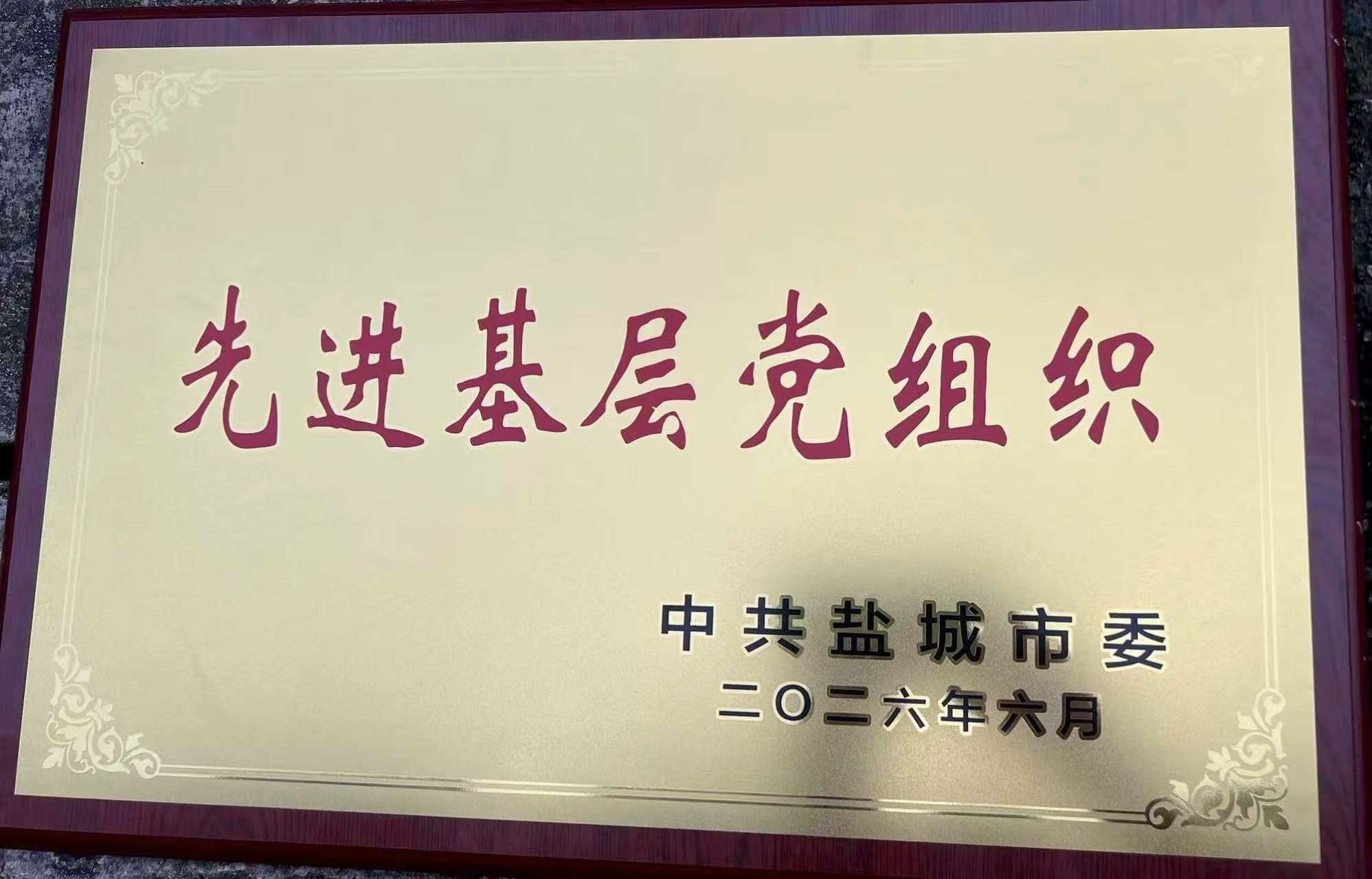 喜报！三仓镇党委荣获盐城市先进基层党组织称号
