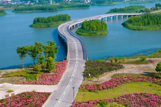 我家住在江河畔丨大纵湖畔的童年与乡愁(秦晶)