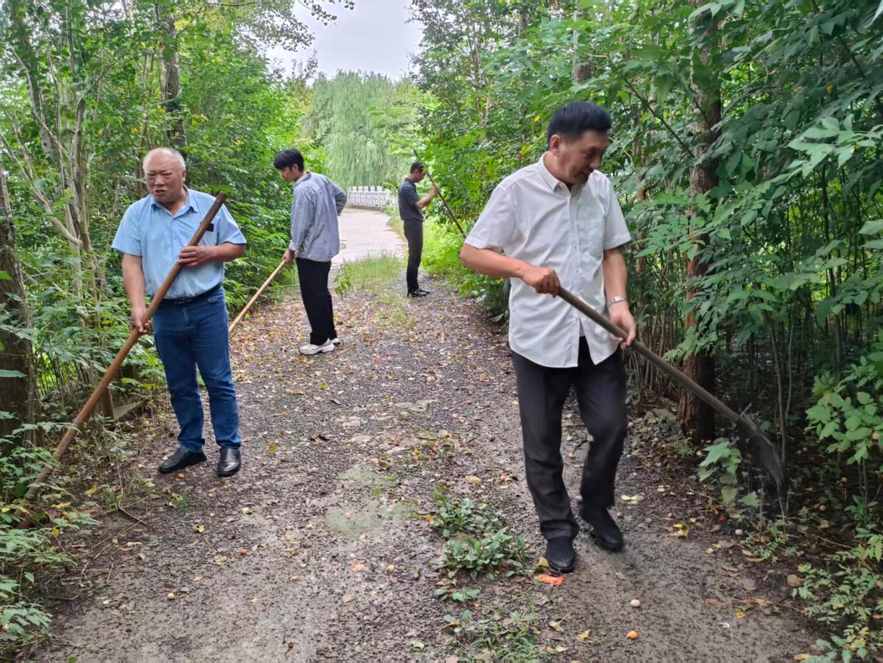 伍佑街道：全力备战台风“巴威”