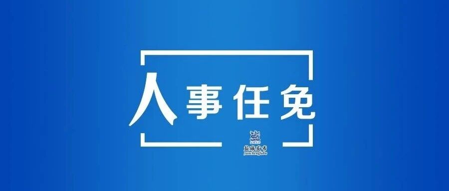 职务任免通知
