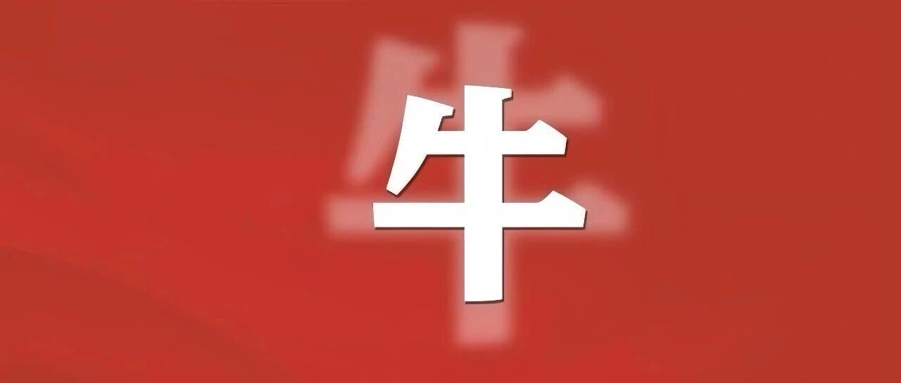 《爱在风起燕舞时》首播告捷，全网数据全线飘红