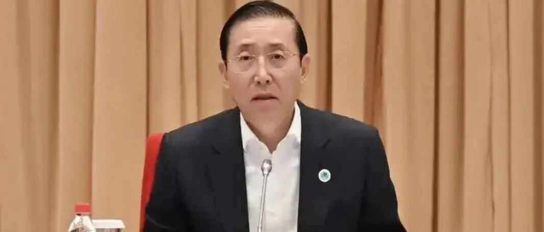 辛保安被查