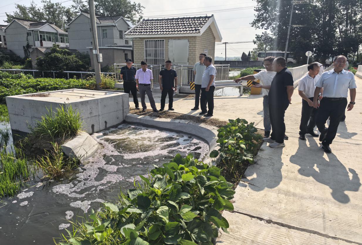 恒济镇组织人大代表开展集中视察活动