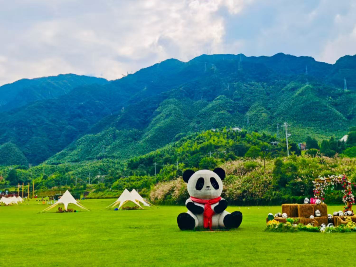 我的“山海寻梦”故事丨晨光不负赶路人(姜玲玲)