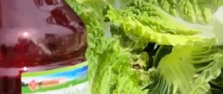 这些菜可能是“甲醛大户”！4步操作减少危害