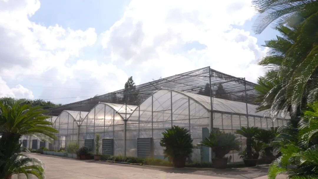 盐城市盆景花卉科普基地免费开放迎首批亲子家庭