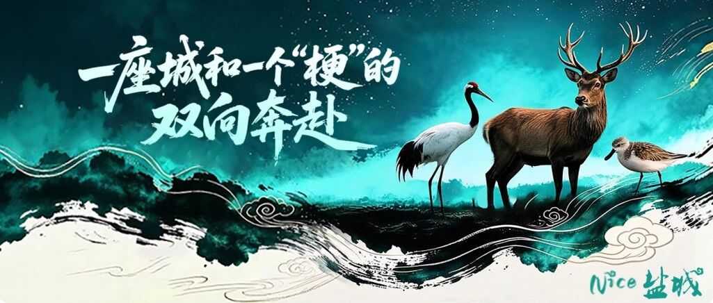 东方肯尼亚，非去不可！