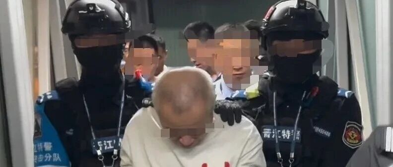 长期从事绑架杀人等暴力犯罪，罪行累累，多次策划并实施针对中国公民的严重暴力案件，手段残忍、性质恶劣！邱某某被遣返回国