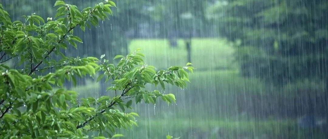 刚刚，盐城发布暴雨黄色预警！强降雨+9级雷暴大风