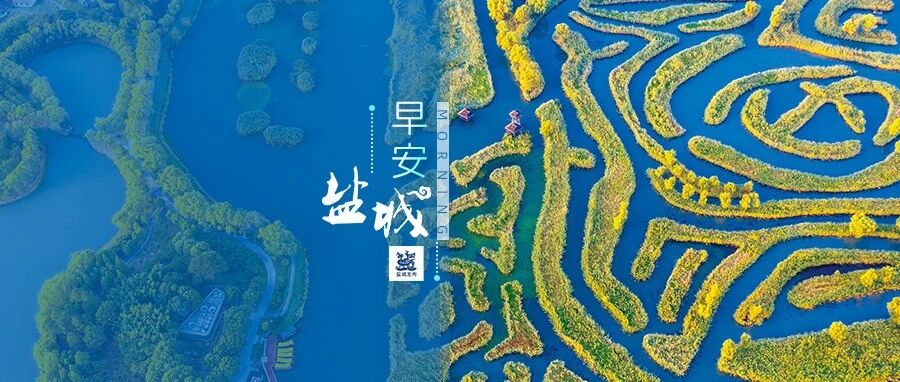 盐城出品！9.6分口碑力作登陆央视频