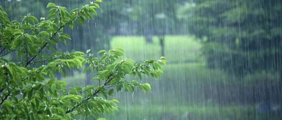 预警解除！仍有降雨！盐城接下来……