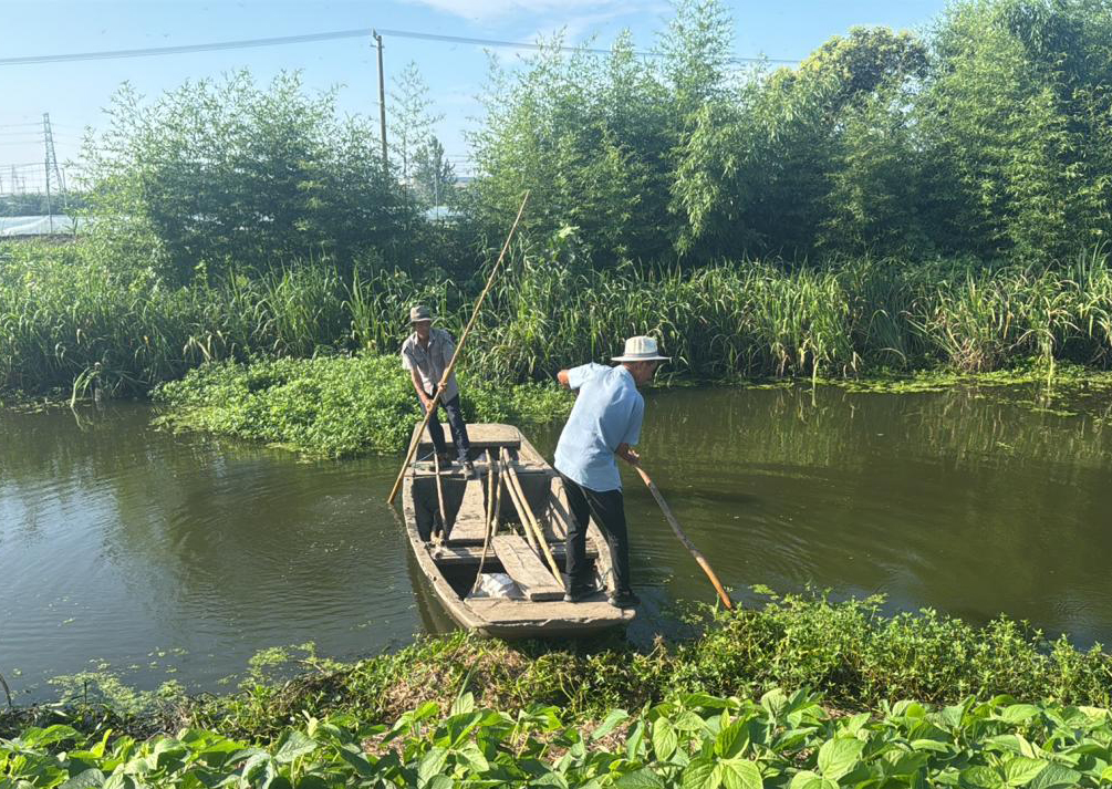 新兴镇联盟村：人居环境再提升 村容村貌展新颜