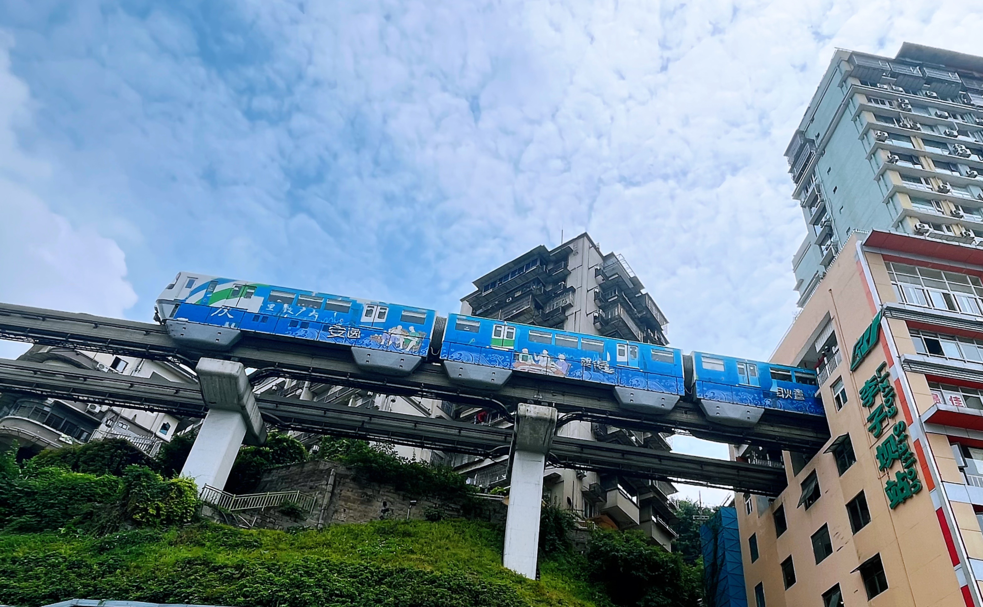 我的“山海寻梦”故事丨山城拾烟火,古堰听江声(潘琦)