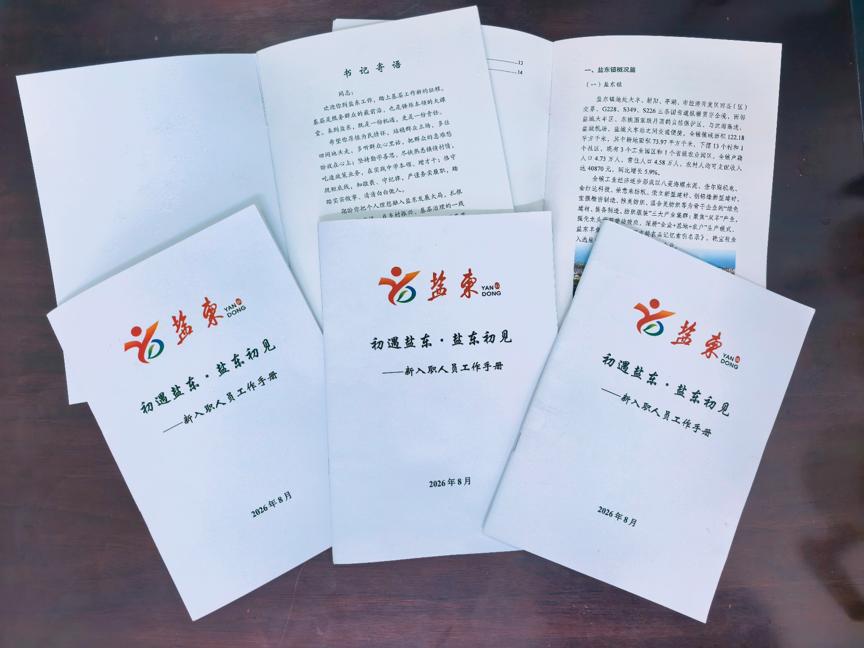 盐东镇开展新入职人员实地观摩交流活动