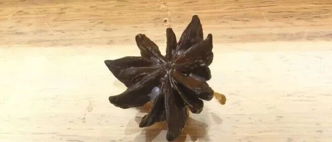 浙江一女子买八角香料炖肉，孩子却数出13个角！药师：食入少量会头晕、恶心，大量食入严重时会引起心脏衰竭甚至死亡