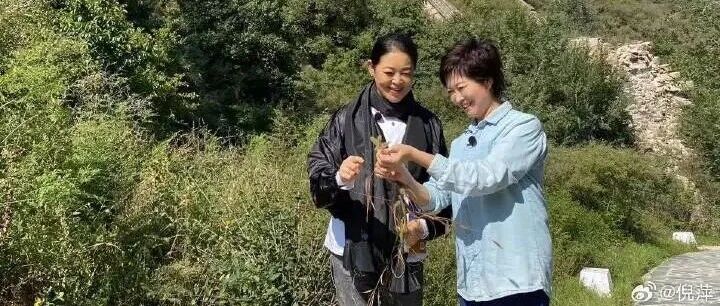 倪萍发长文追忆敬一丹：跟你说一声对不起，三千公里山海相隔，我终究无法赶回去送你最后一程