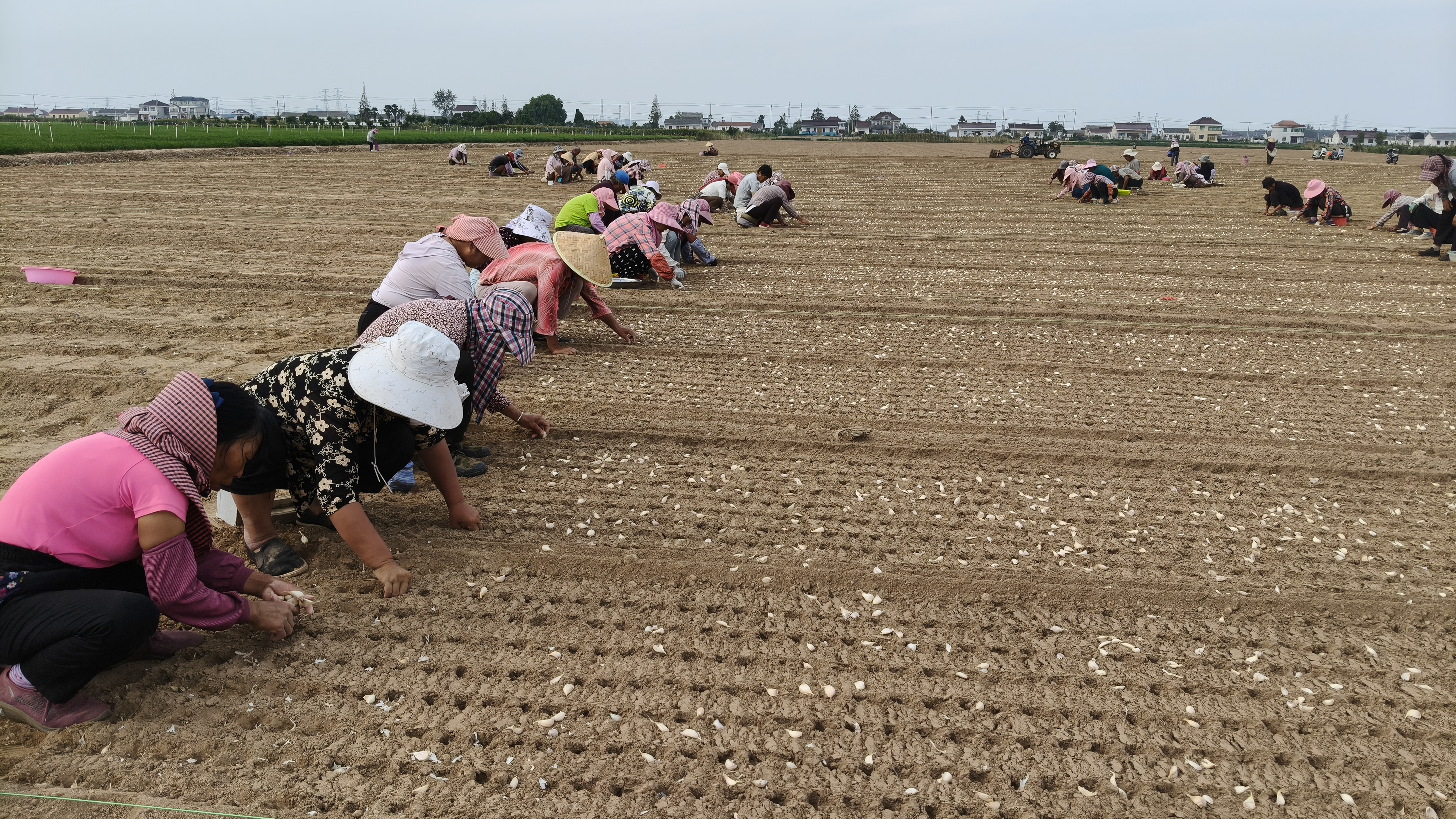 南阳镇城乡村：4亩地流转出去，她一年多挣两万