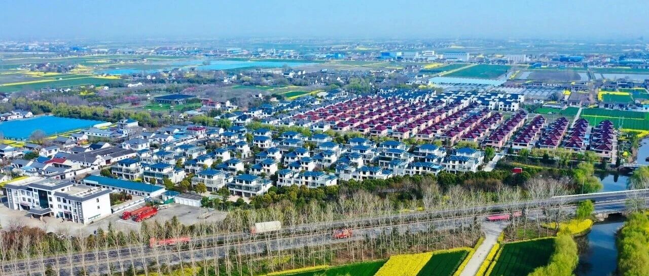党建引领，凝心聚力共绘发展“同心圆”！