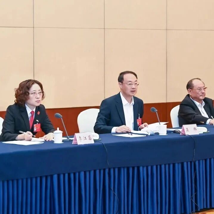 吴炜参加大丰代表团审议