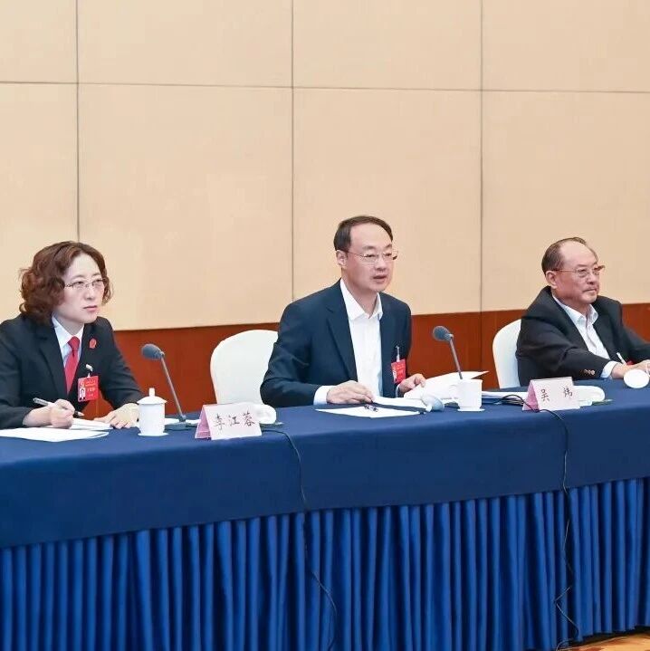 吴炜参加大丰代表团审议