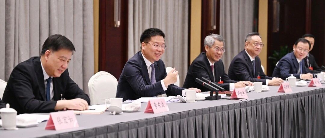 严汉平参加东台代表团审议