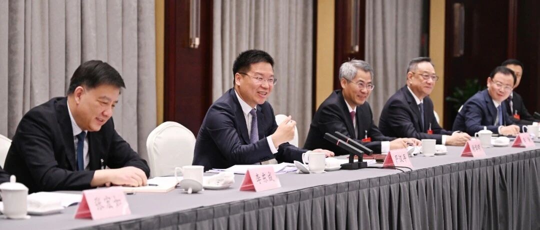 严汉平参加东台代表团审议