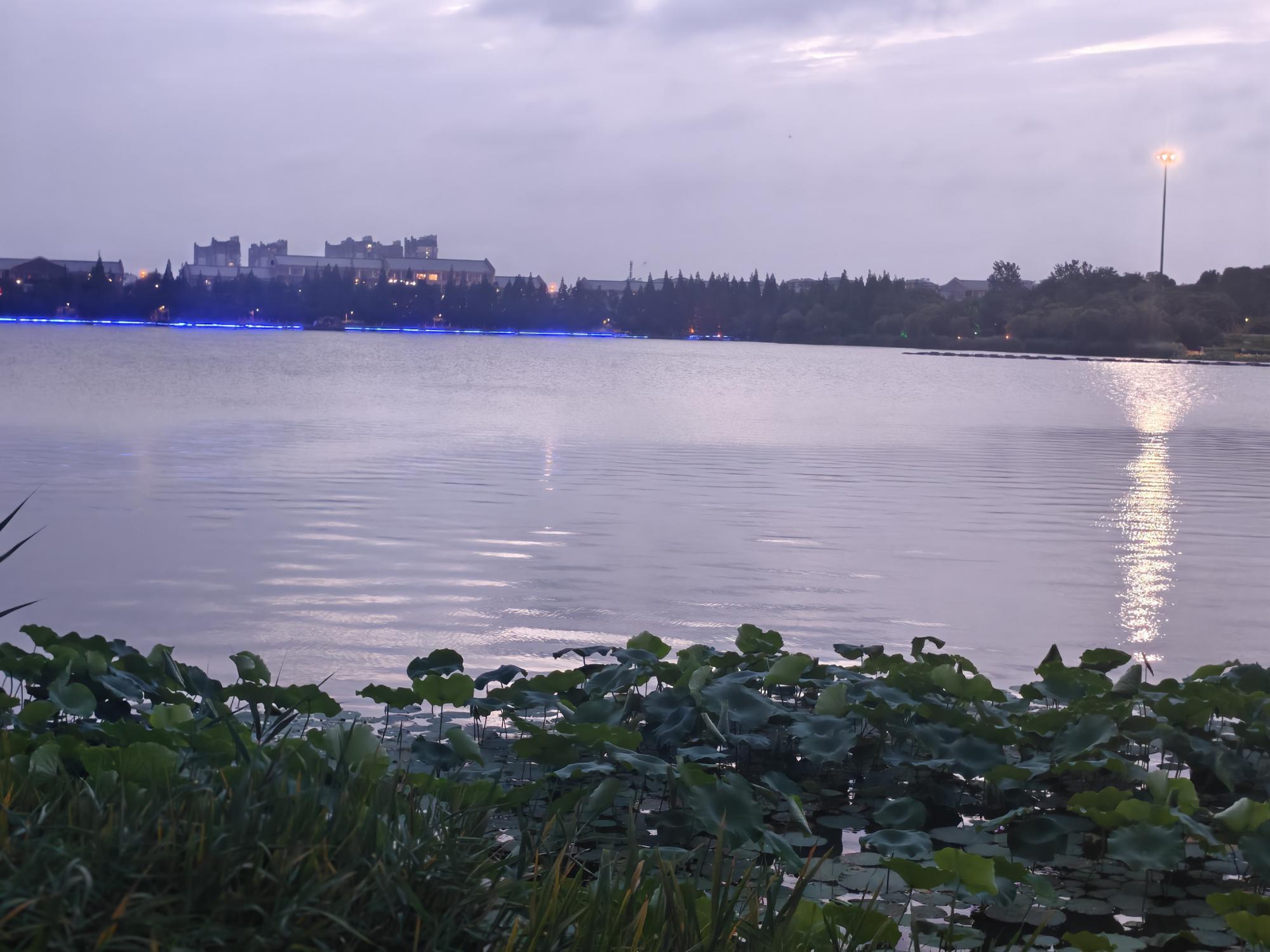 我家住在江河畔丨双湖之畔,藏着最暖的岁月清欢(钟章青)