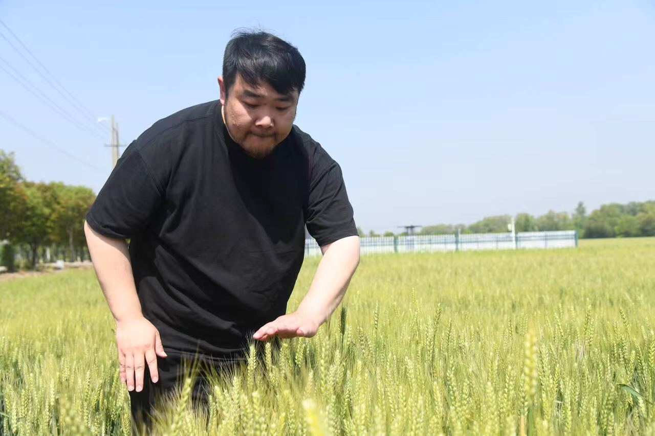 蒋新程：从服装老板到“新农人”