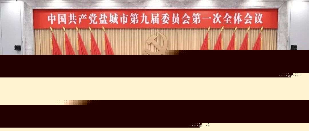 中共盐城市第九届委员会举行第一次全会