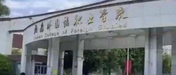 军训期间谎称上厕所，男生擅自离校飞到上海旅游，并把整个过程发上网！涉事学校通报：其本人及家人已申请退学，相关辅导员和教官未被处理