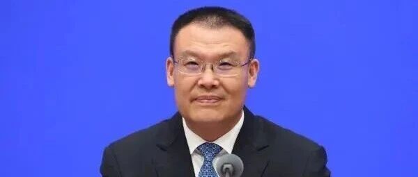 王东伟任安徽省代省长