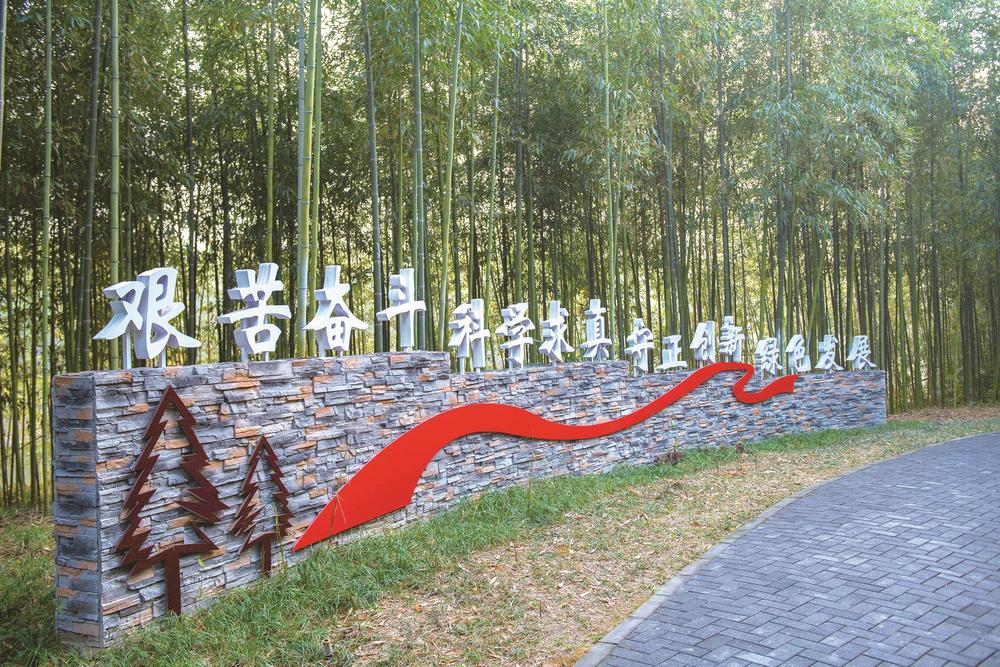 青山绿水丨盐城东台:荒滩林海见证三次蝶变